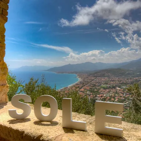 Sole *